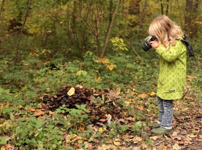 Expeditionen ins Connewitzer Holz - Fotografieren beim kreativen Waldspaziergang
