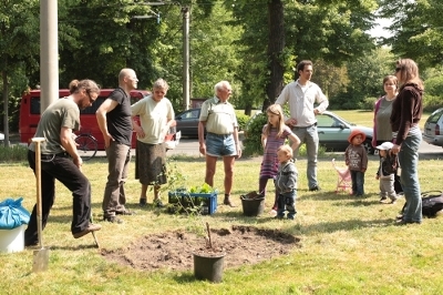 Blumenbeet anlegen