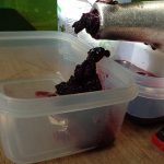 Kleines ABC der Erntehilfen - Brombeeren ernten und entkernen