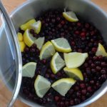 Kleines ABC der Erntehilfen – Felsenbirnen ernten und verarbeiten
