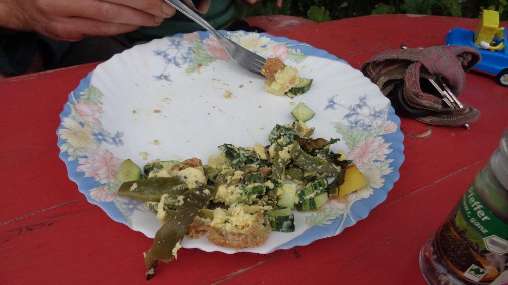 Gemüsetarte aus dem Garten – Halbgefressenes Stück Tarte