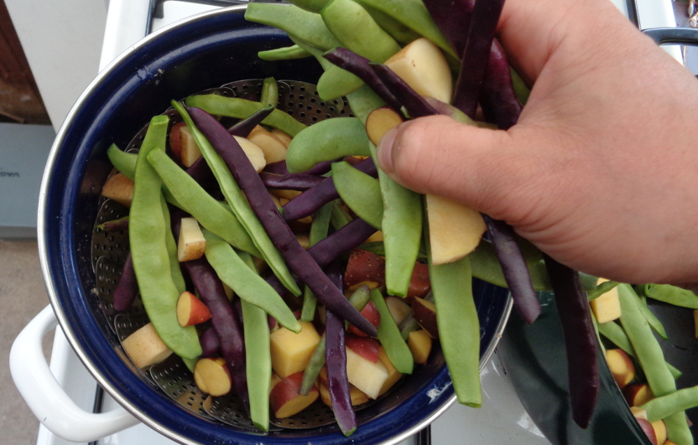 Gemüsetarte aus dem Garten – Kartoffeln und Bohnen dünsten