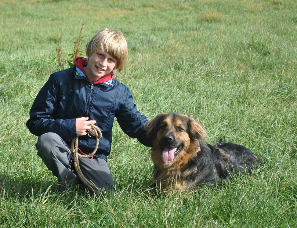 Richtiges Verhalten gegenüber Hunden