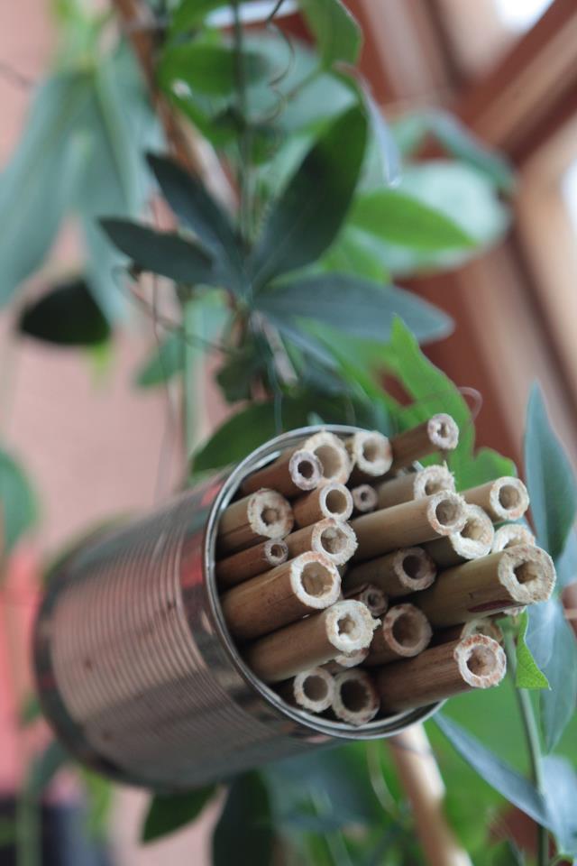 Mini-Insektenhotel