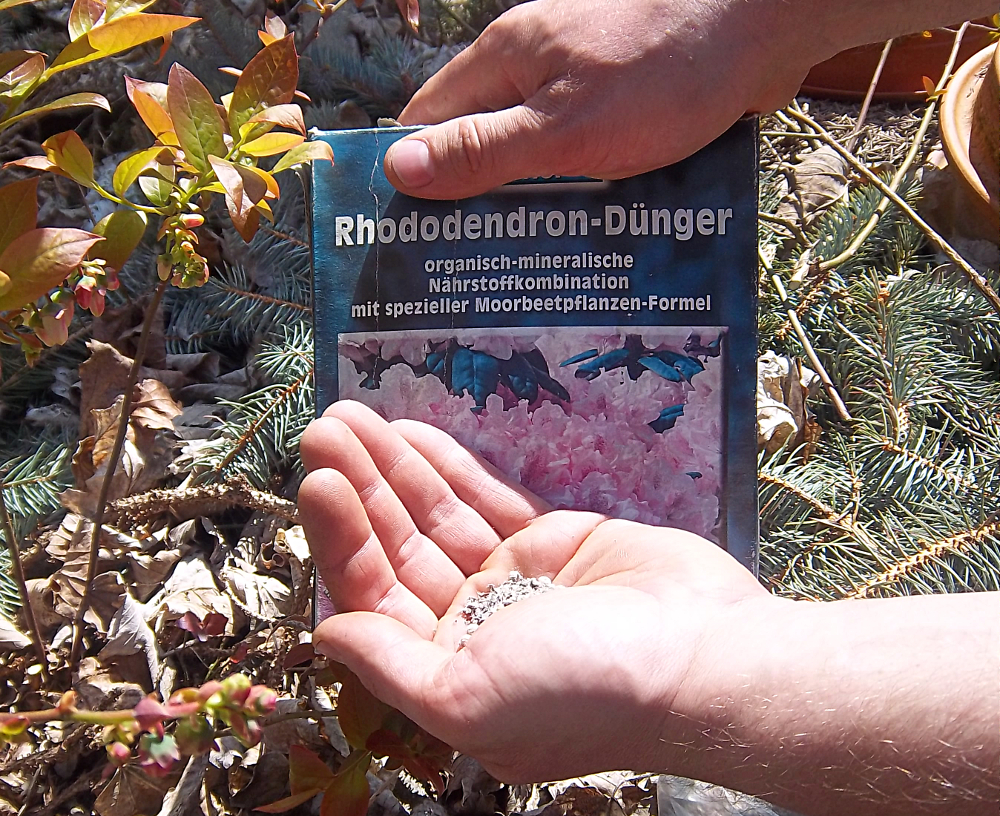 Rhododendronduenger für Heidelbeeren