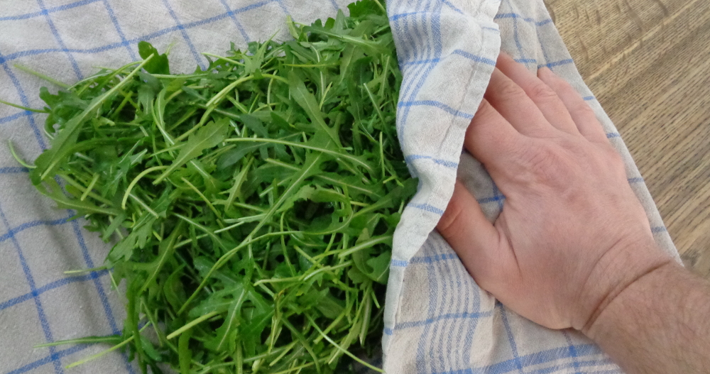 Rucolapesto – Rucola trocknen