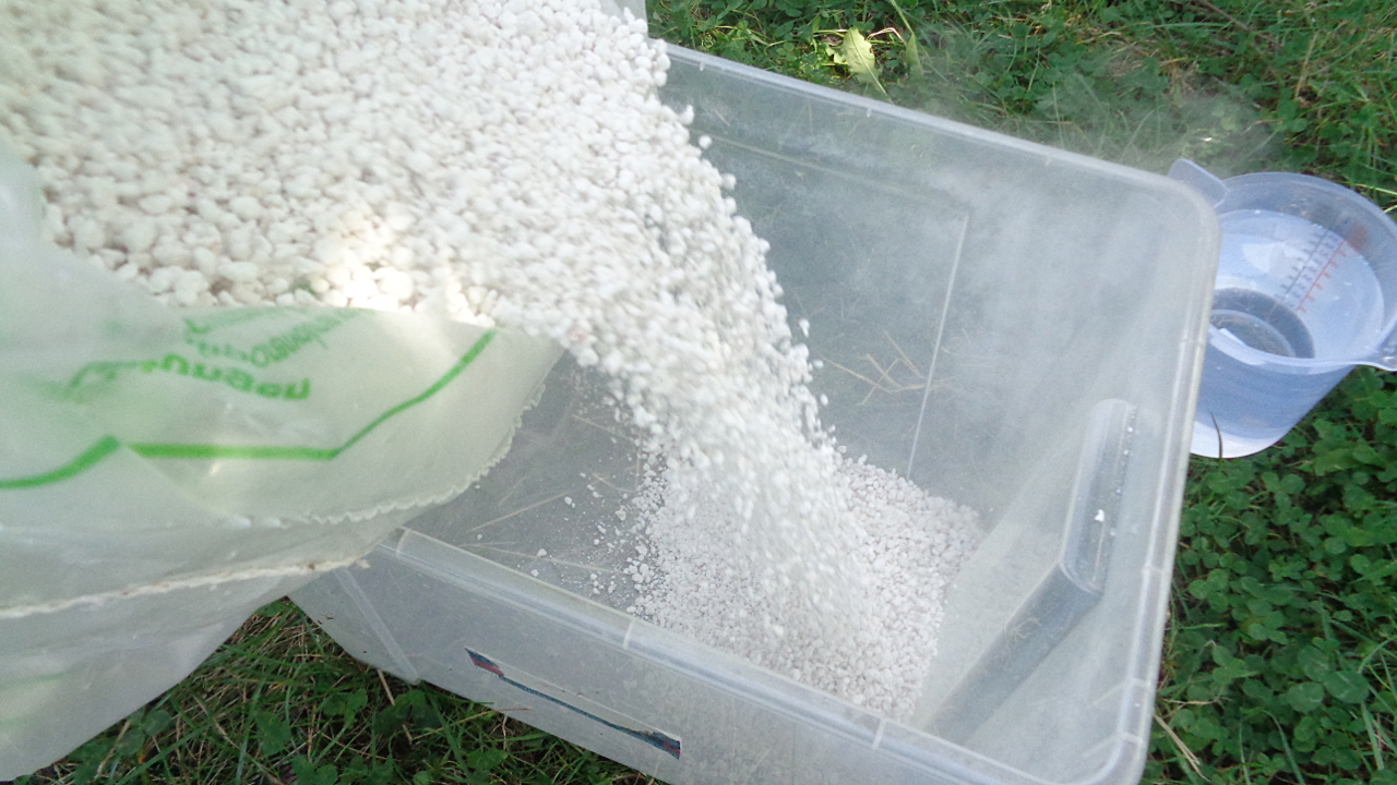 Zierquitten vermehren – Perlite in die Kiste schütten