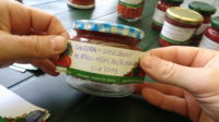 Vogelbeeren ernten und verarbeiten – Sanddorn + Vogelbeere in Apfel-Mehlbeer-Aspik
