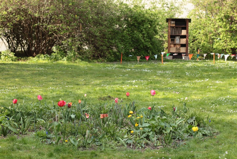 Blumenbeet mit Insektenhotel
