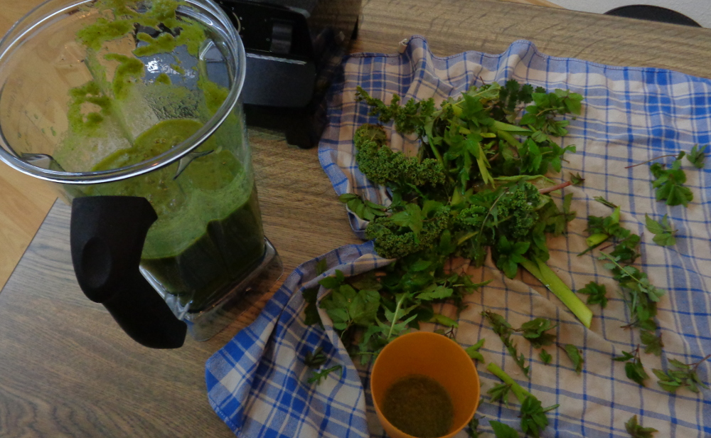 Wildkräuter-Smoothie